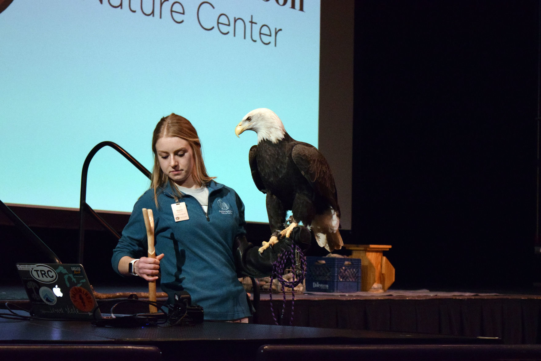012019-sauk-gallery-eagle023